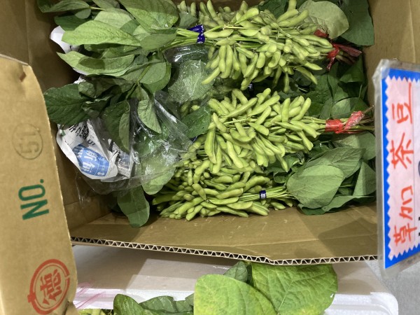 茶豆の入荷です^_^サムネイル